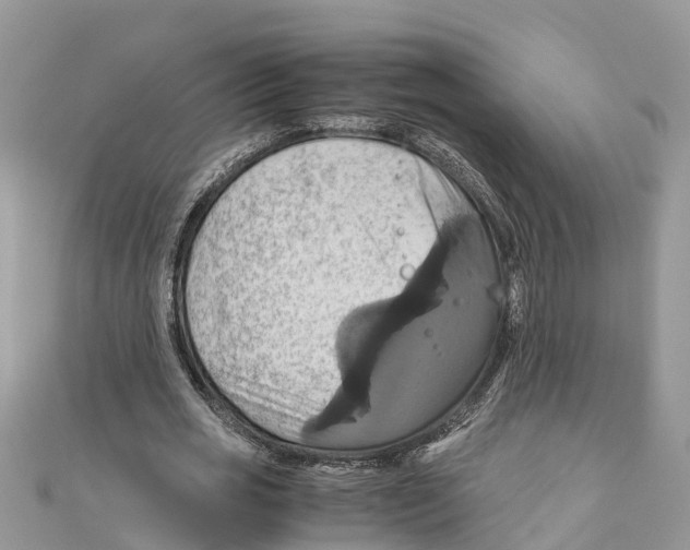 X0000110990725200907171751