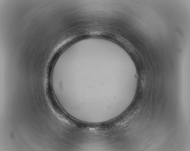 X0000110990728200907171751