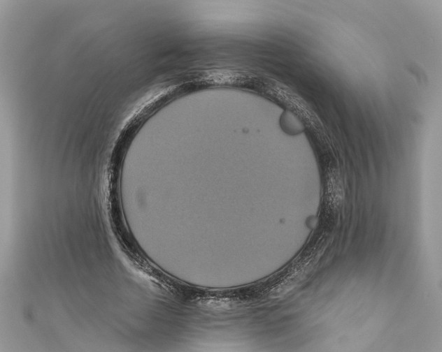 X0000110990730200907171751