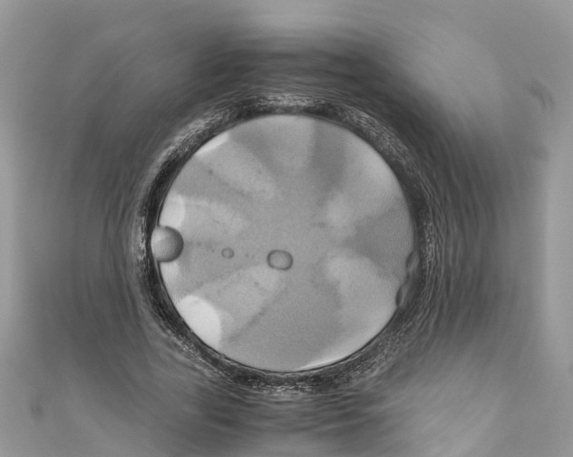 X0000110990731200907171751