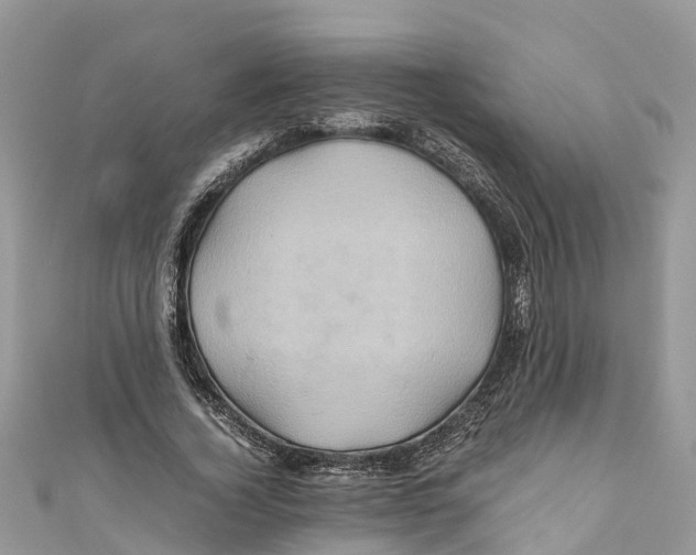 X0000110990732200907171751