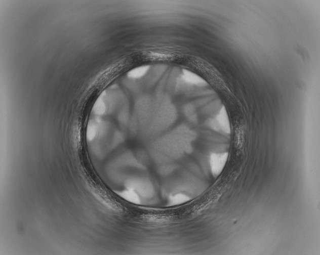 X0000110990733200907171751