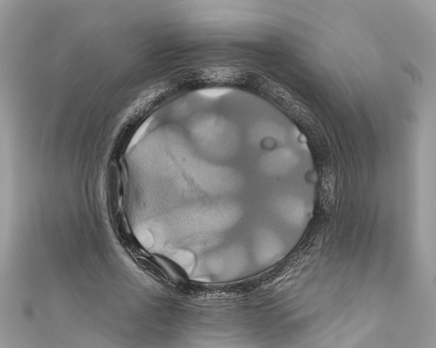 X0000110990734200907171751