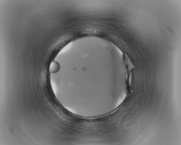 X0000110990735200907171751