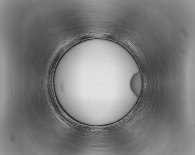 X0000110990736200907171751
