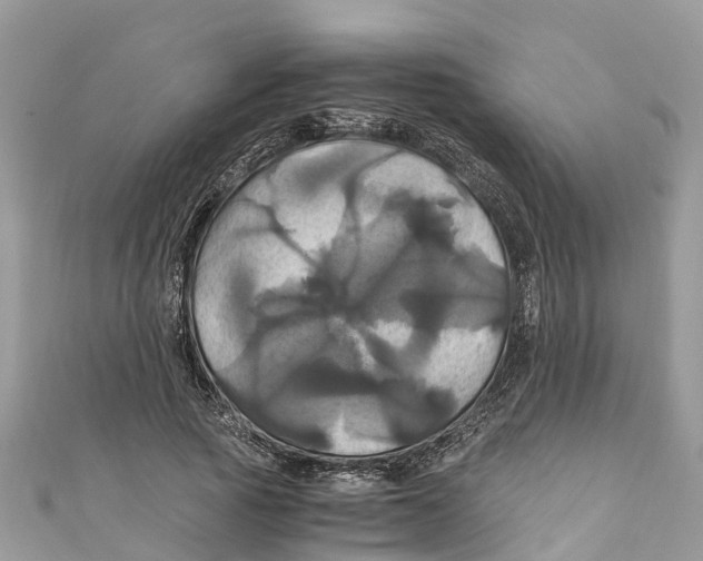 X0000110990737200907171751
