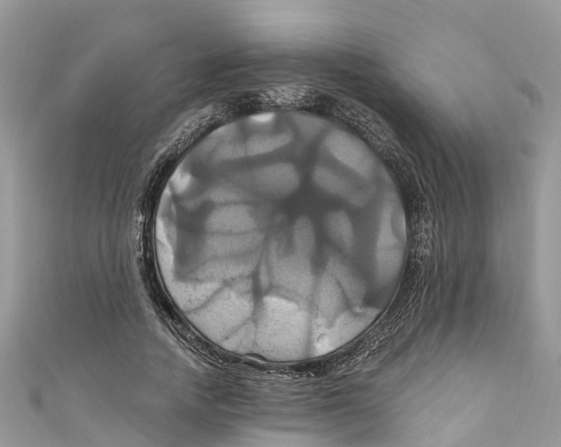 X0000110990738200907171751