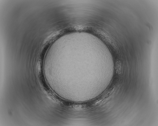 X0000110990740200907171751