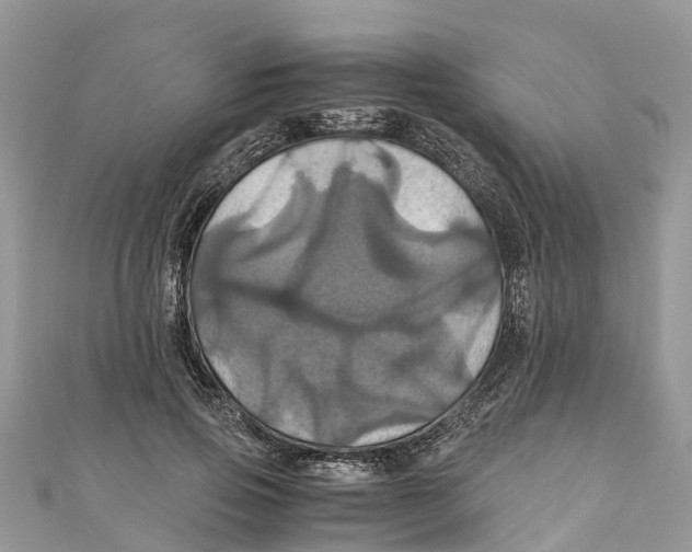 X0000110990741200907171751