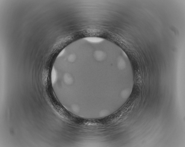 X0000110990742200907171751