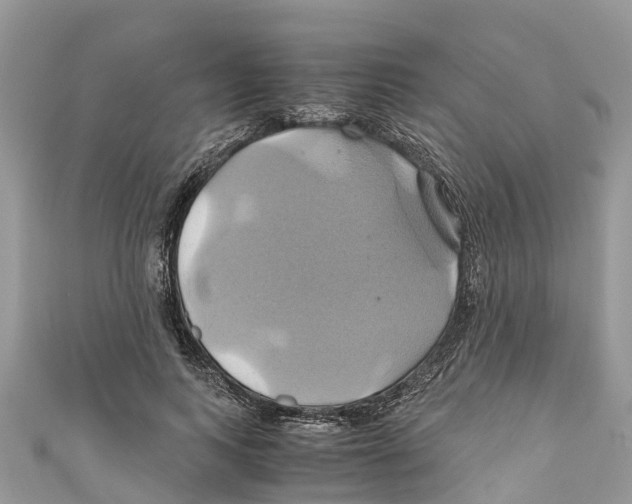 X0000110990743200907171751
