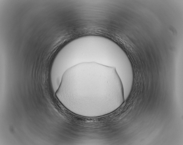 X0000110990744200907171751