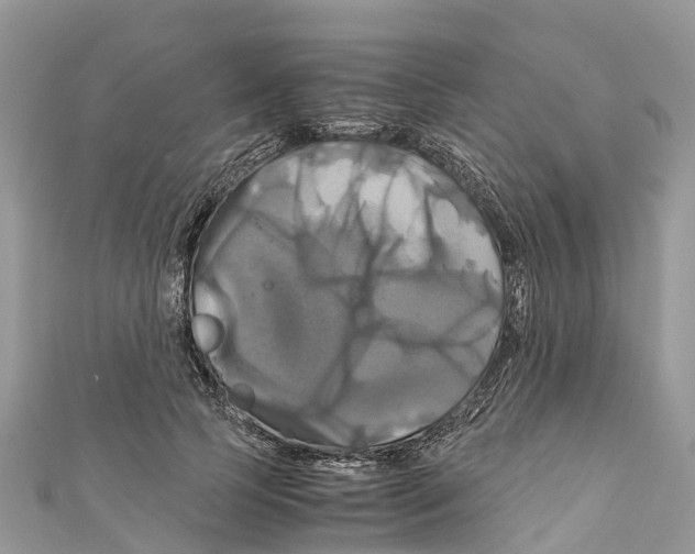 X0000110990745200907171751