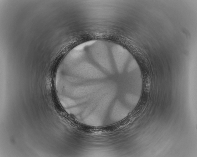 X0000110990746200907171751