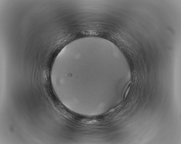 X0000110990747200907171751