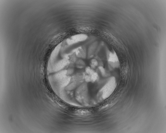 X0000110990749200907171751