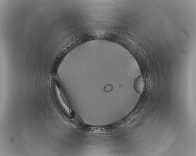 X0000110990750200907171751
