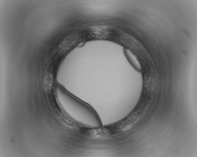 X0000110990752200907171751