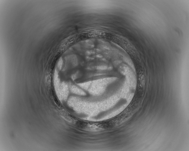 X0000110990753200907171751