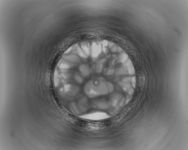 X0000110990757200907171752
