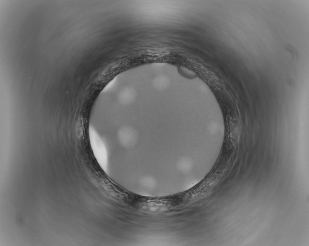 X0000110990758200907171752