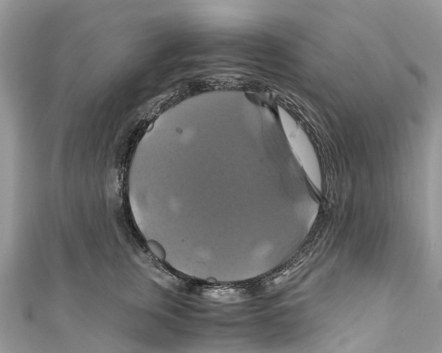 X0000110990759200907171752
