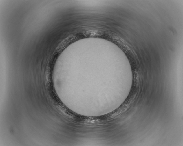 X0000110990760200907171752