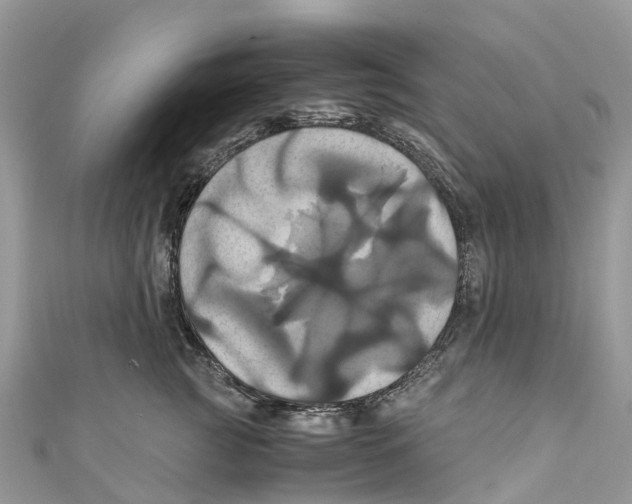 X0000110990761200907171752
