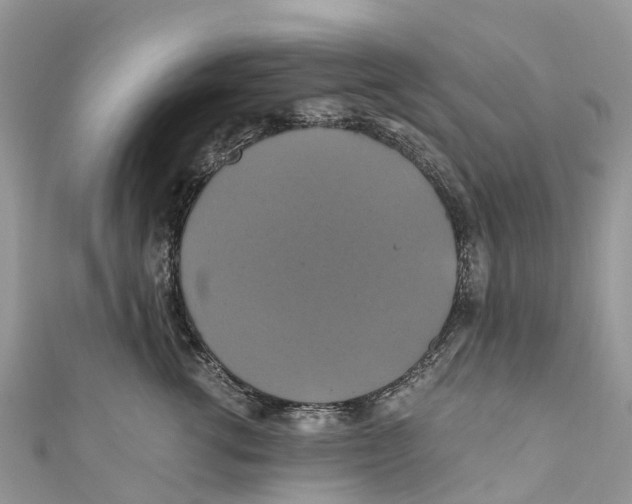 X0000110990762200907171752