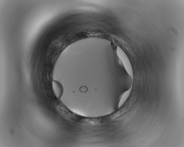X0000110990763200907171752