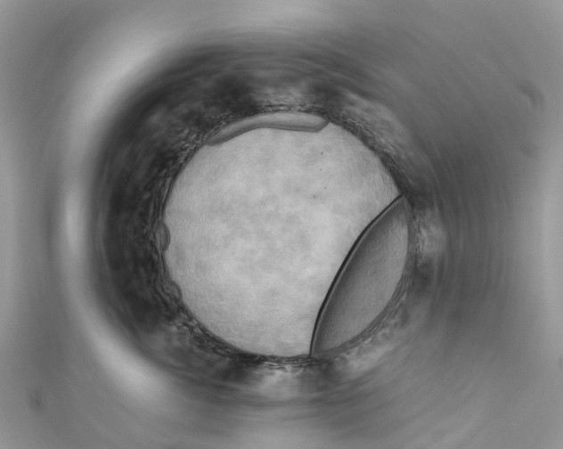 X0000110990764200907171752