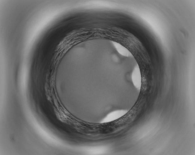 X0000110990765200907171752