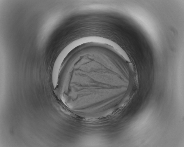 X0000110990766200907171752