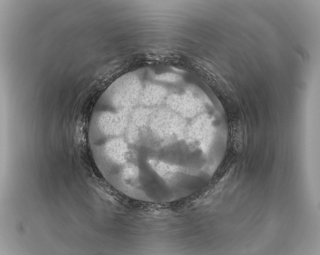 X0000110990770200907171751