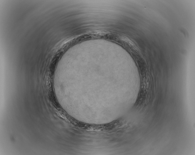 X0000110990773200907171751