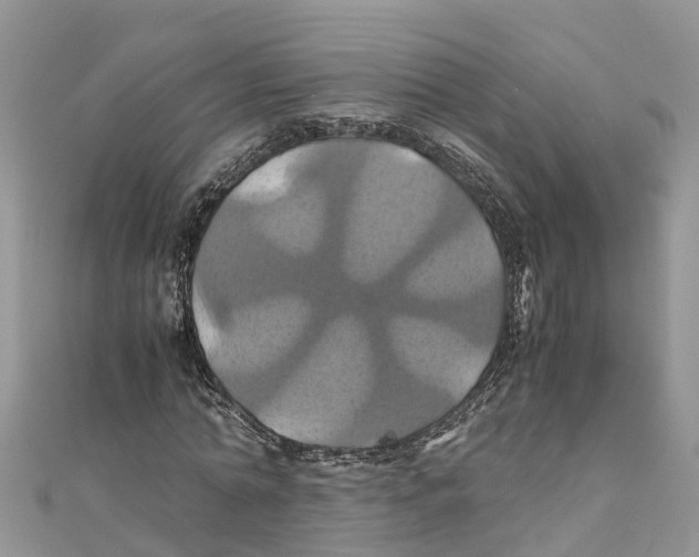 X0000110990774200907171751