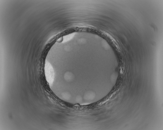 X0000110990775200907171751
