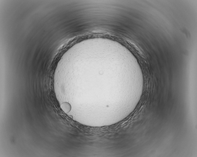 X0000110990776200907171751