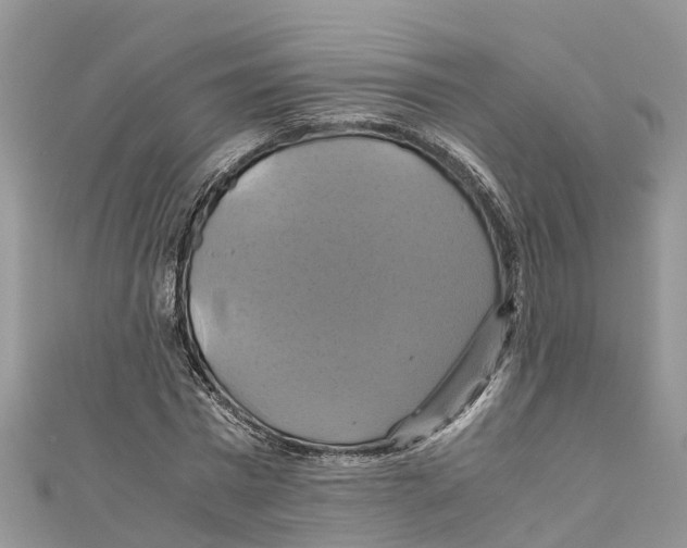 X0000110990777200907171751