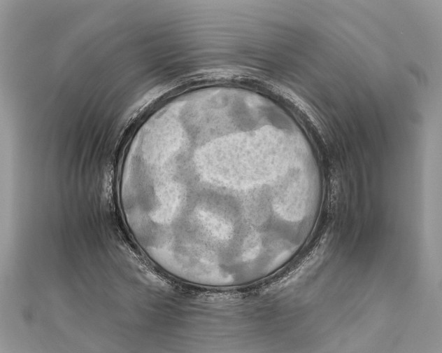 X0000110990778200907171751