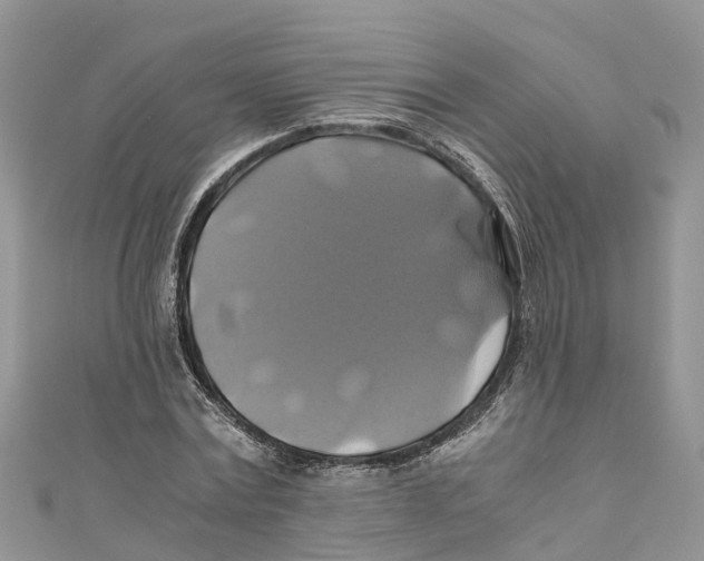 X0000110990779200907171751