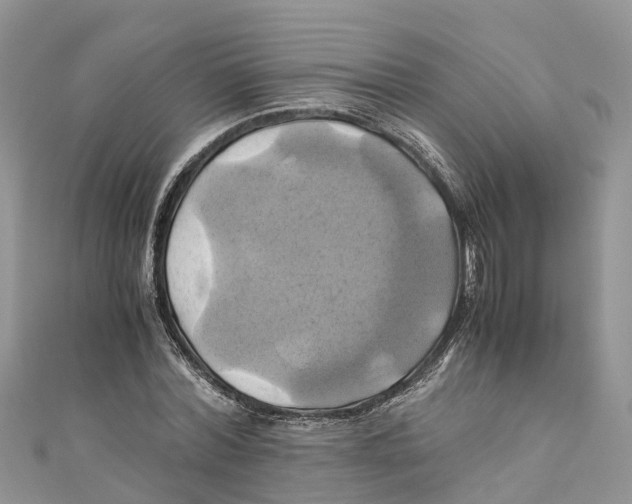 X0000110990780200907171751
