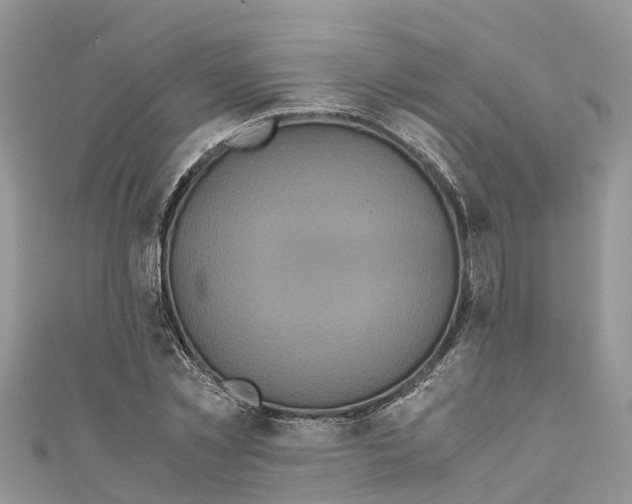 X0000110990781200907171751
