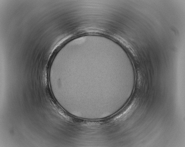 X0000110990782200907171751