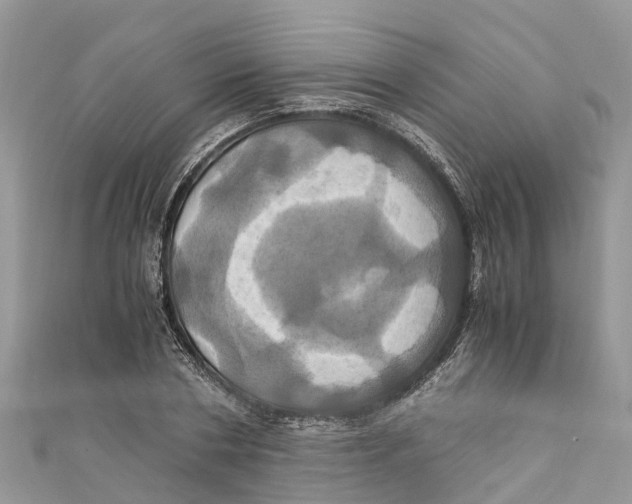 X0000110990786200907171751