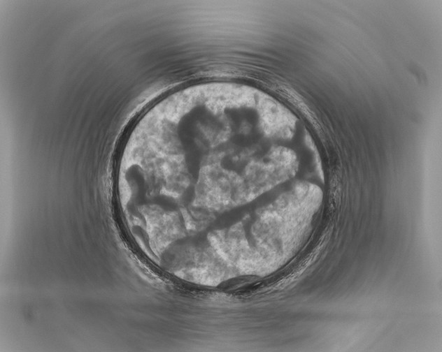 X0000110990787200907171751