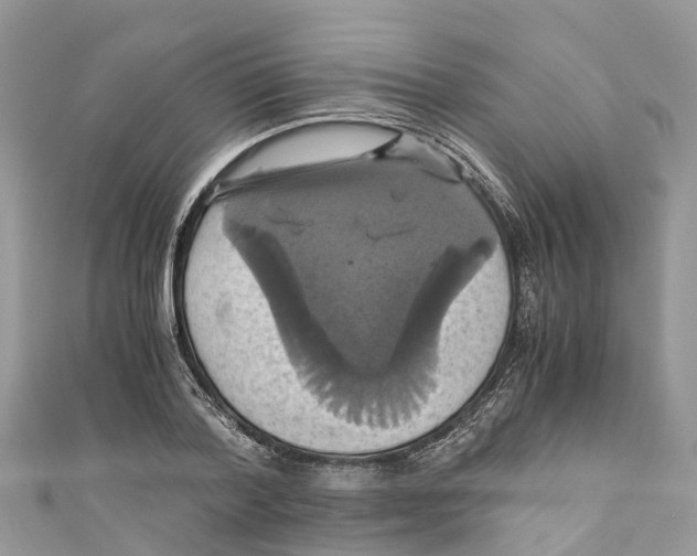 X0000110990788200907171751