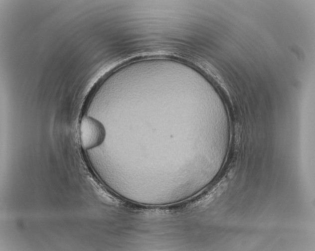 X0000110990789200907171751