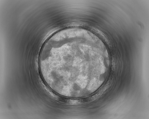 X0000110990794200907171751