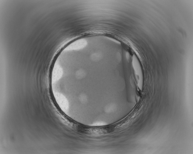 X0000110990795200907171751